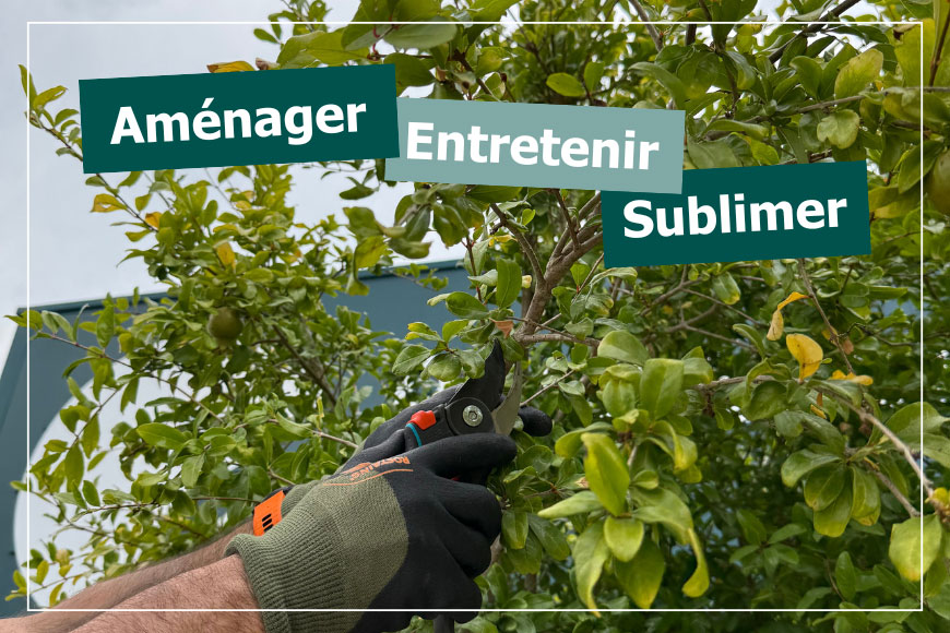 Aménager, entretenir et sublimer votre jardin
